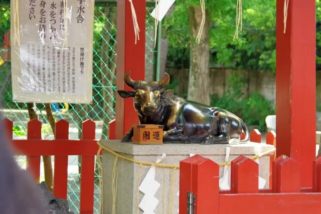 和歌山のおすすめお取り寄せ　熊野牛