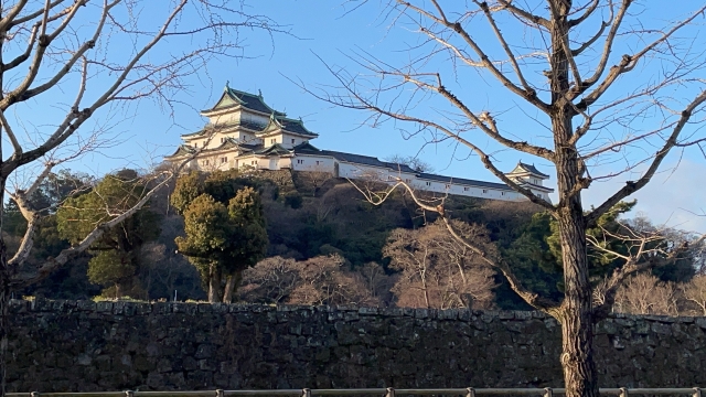 けやき通りから見る和歌山城