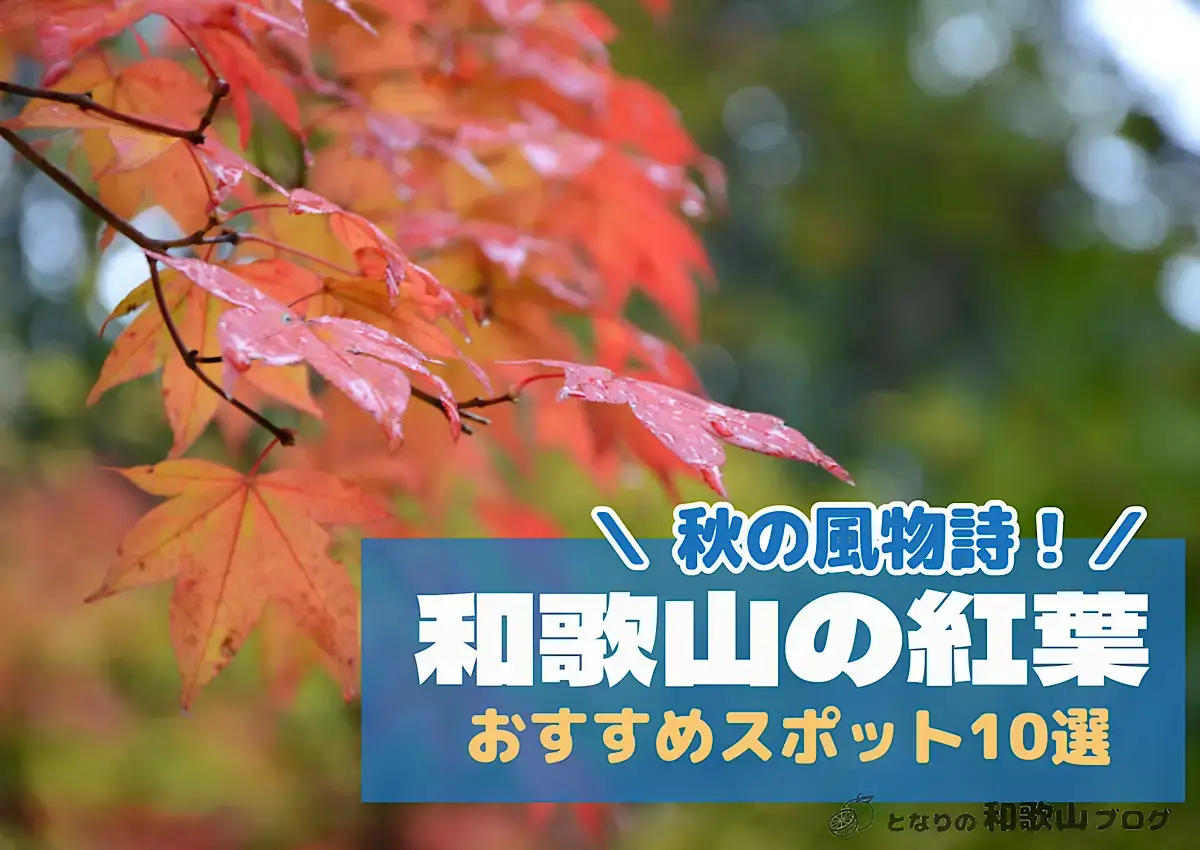 【名所10選】和歌山で紅葉を楽しむおすすめスポット