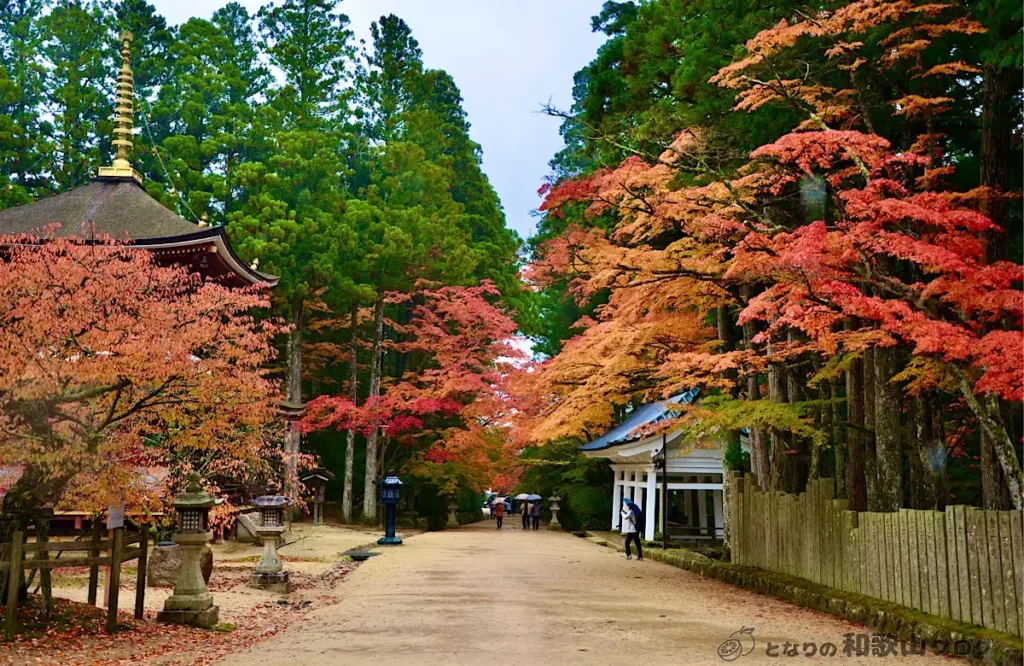 高野山の紅葉