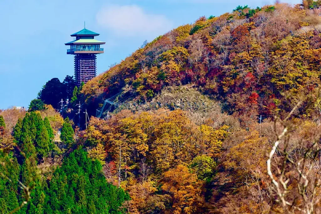 高野龍神スカイラインのごまさんスカイタワーと紅葉の風景