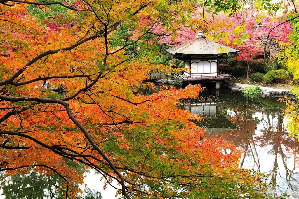 和歌山城西の丸庭園の紅葉の風景