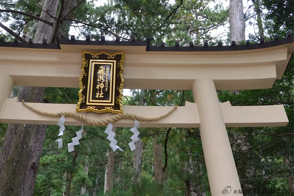 飛瀧神社の鳥居