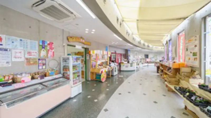 道の駅 青洲の里 売店