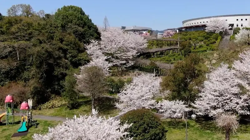 道の駅 青洲の里 「ふれあい公園」